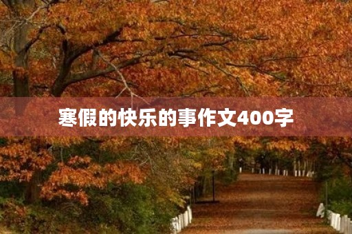 寒假的快乐的事作文400字