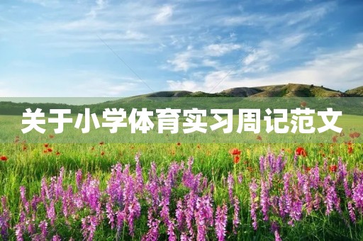 关于小学体育实习周记范文 关于小学体育实习周记范文
