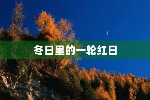 冬日里的一轮红日 冬日里的一轮红日