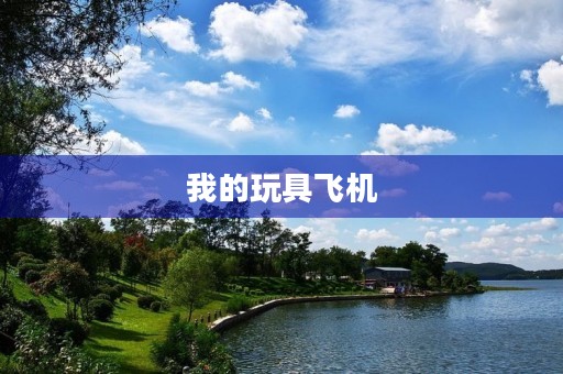 我的玩具飞机 我的玩具飞机