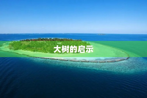 大树的启示 大树的启示