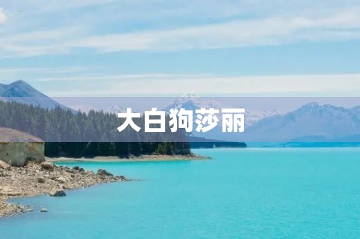 大白狗莎丽