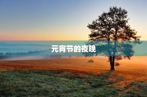 元宵节的夜晚 元宵节的夜晚