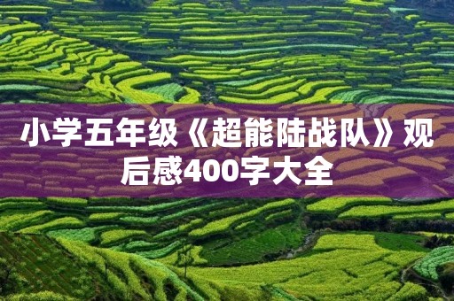 小学五年级《超能陆战队》观后感400字大全 小学五年级《超能陆战队》观后感400字大全