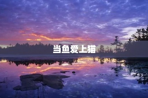 当鱼爱上猫 当鱼爱上猫