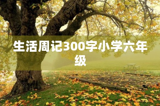 生活周记300字小学六年级