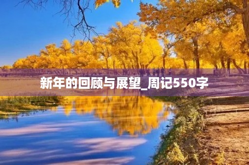 新年的回顾与展望_周记550字