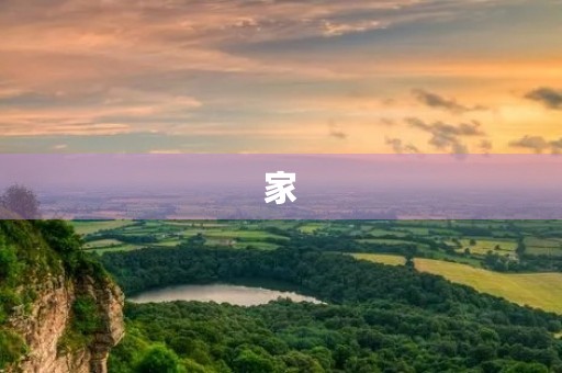家 家