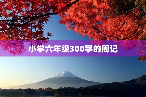 小学六年级300字的周记 小学六年级300字的周记