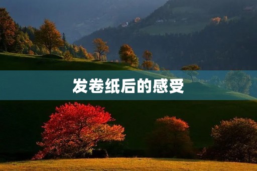 发卷纸后的感受 发卷纸后的感受