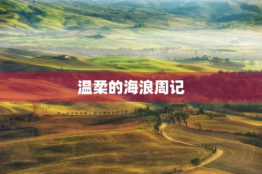 温柔的海浪周记 温柔的海浪周记