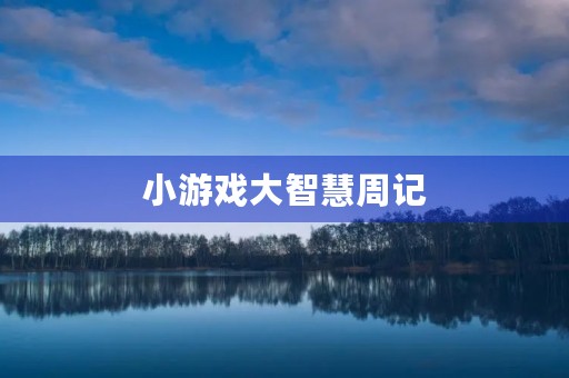 小游戏大智慧周记 小游戏大智慧周记
