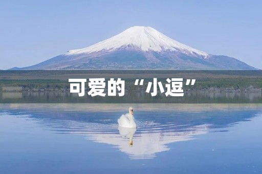 可爱的“小逗” 可爱的“小逗”