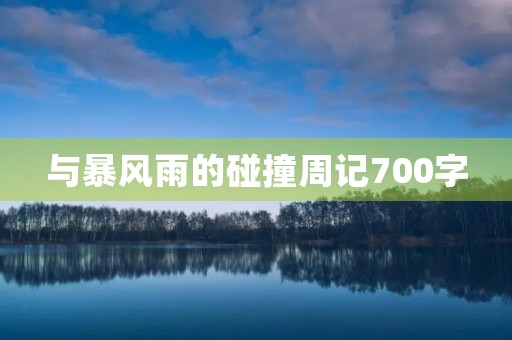 与暴风雨的碰撞周记700字