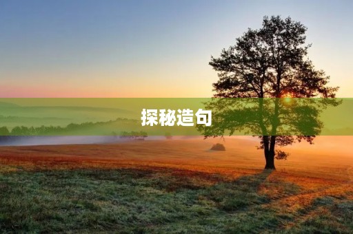 探秘造句