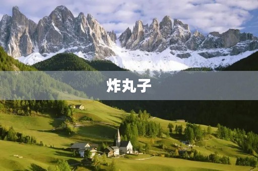 炸丸子 炸丸子