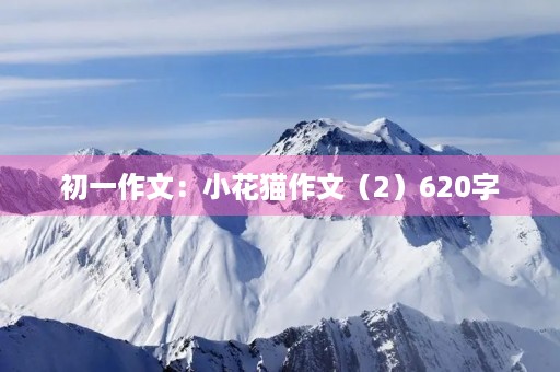 初一作文:小花猫作文(2)620字 初一作文:小花猫作文(2)620字