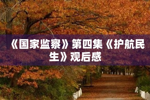《国家监察》第四集《护航民生》观后感 《国家监察》第四集《护航民生》观后感