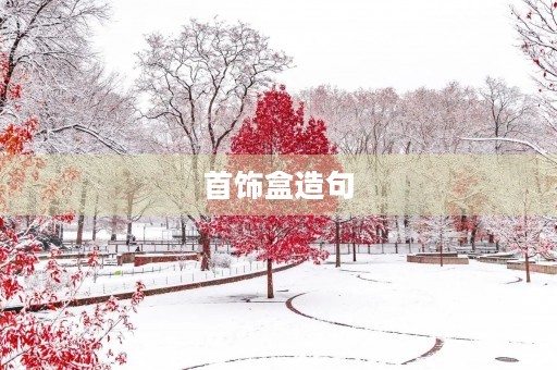 首饰盒造句 首饰盒造句