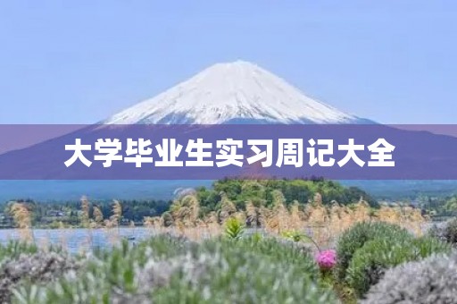 大学毕业生实习周记大全 大学毕业生实习周记大全