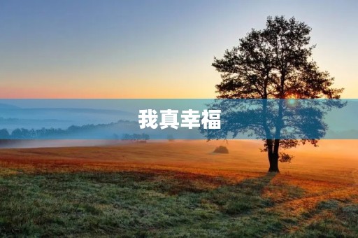 我真幸福 我真幸福