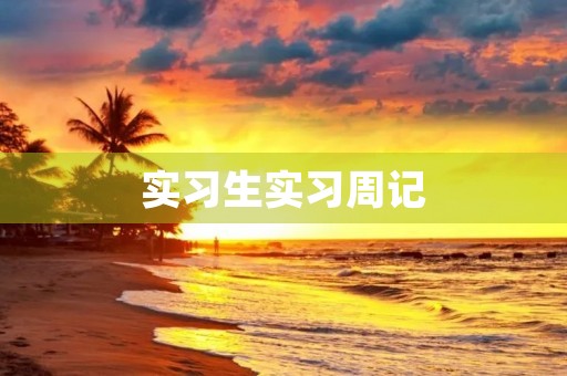 实习生实习周记