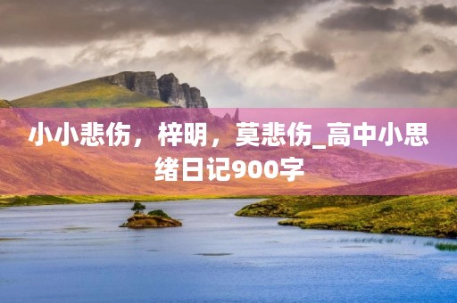 小小悲伤，梓明，莫悲伤_高中小思绪日记900字