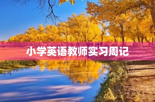 小学英语教师实习周记