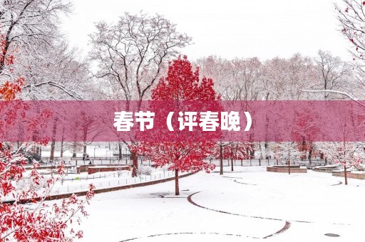 春节(评春晚) 春节(评春晚)