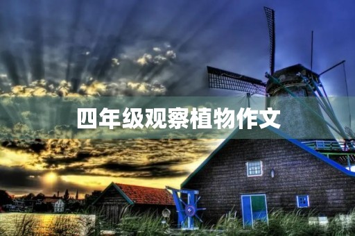 四年级观察植物作文