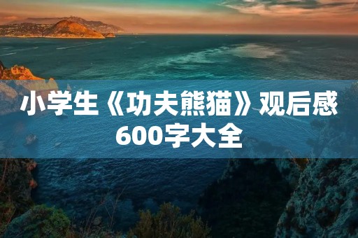 小学生《功夫熊猫》观后感600字大全