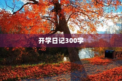 开学日记300字 开学日记300字