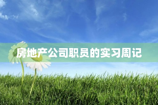 房地产公司职员的实习周记
