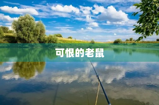 可恨的老鼠