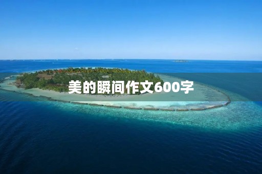美的瞬间作文600字