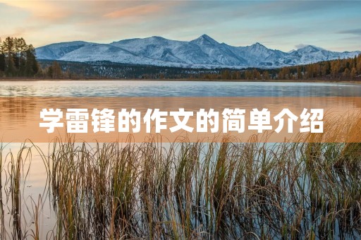 学雷锋的作文的简单介绍