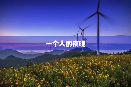 一个人的夜晚 一个人的夜晚