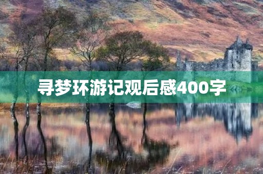 寻梦环游记观后感400字