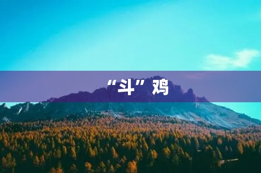 “斗”鸡 “斗”鸡