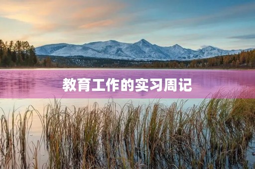 教育工作的实习周记