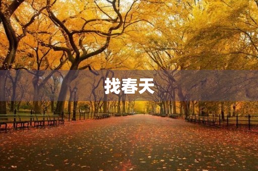 找春天 找春天