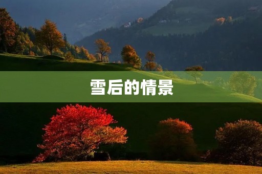 雪后的情景
