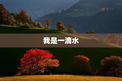 我是一滴水 我是一滴水