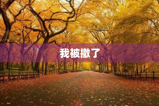 我被撤了 我被撤了