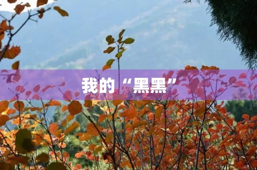我的“黑黑” 我的“黑黑”