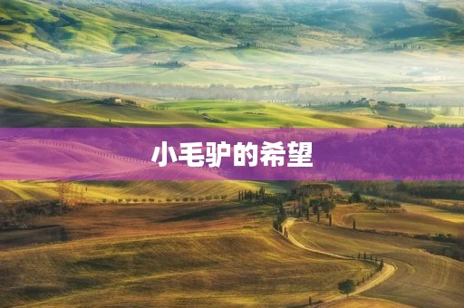 小毛驴的希望 小毛驴的希望