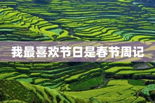 我最喜欢节日是春节周记 我最喜欢节日是春节周记
