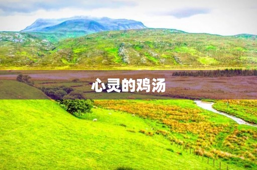 心灵的鸡汤 心灵的鸡汤