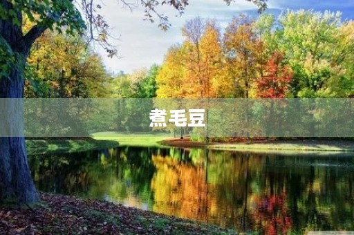 煮毛豆 煮毛豆