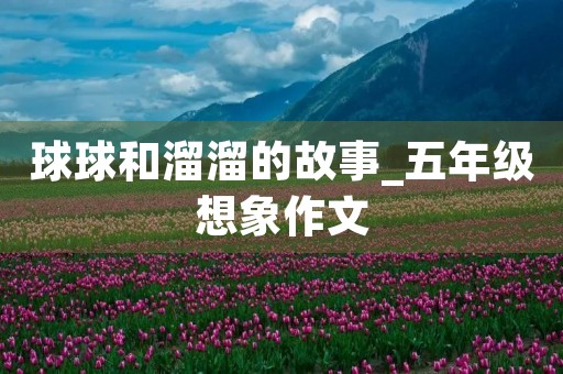 球球和溜溜的故事_五年级想象作文 球球和溜溜的故事_五年级想象作文